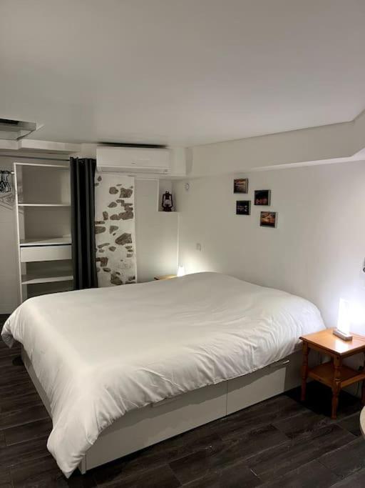 Appartement Climatise Albi - Centre Dış mekan fotoğraf